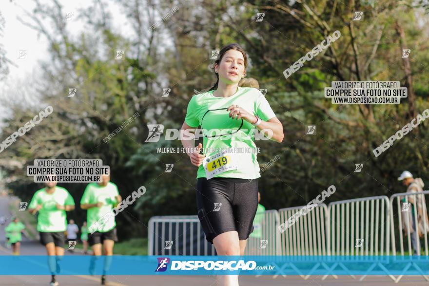 Brasil Corridas - Run 15km - Londrina