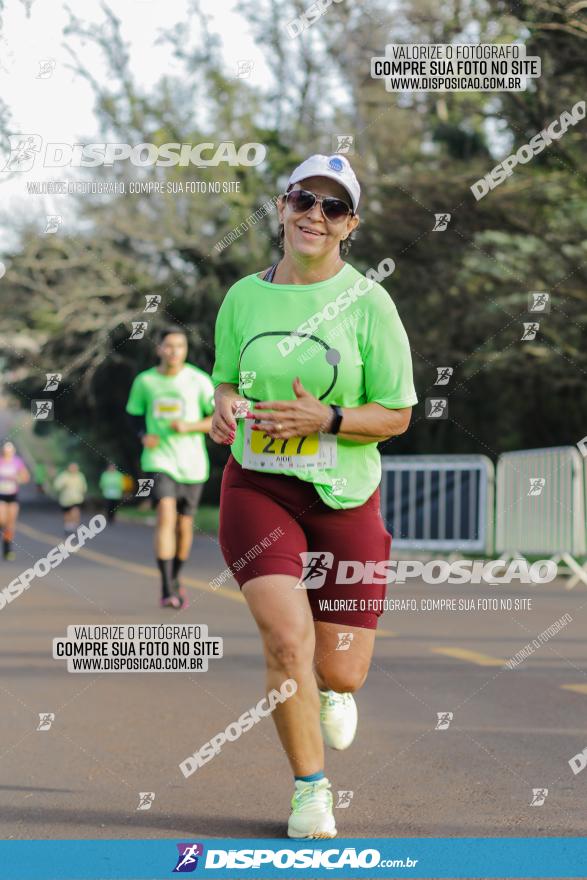 Brasil Corridas - Run 15km - Londrina