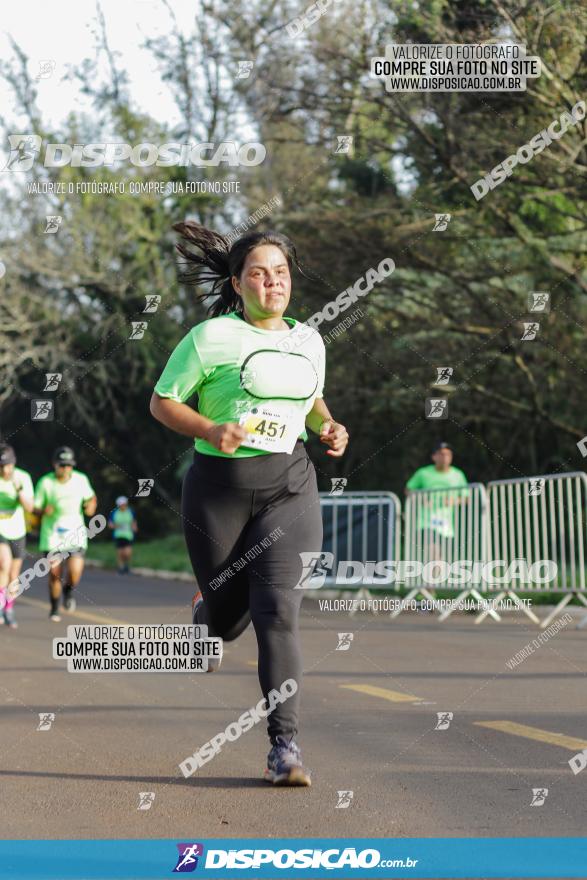 Brasil Corridas - Run 15km - Londrina