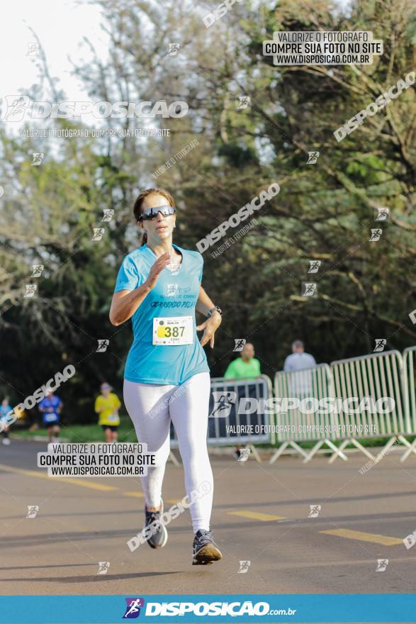 Brasil Corridas - Run 15km - Londrina