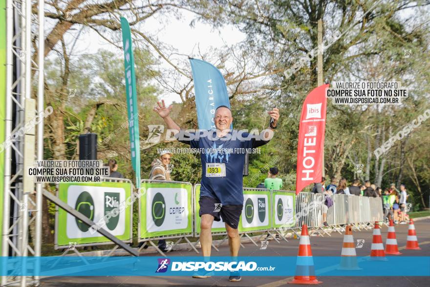 Brasil Corridas - Run 15km - Londrina