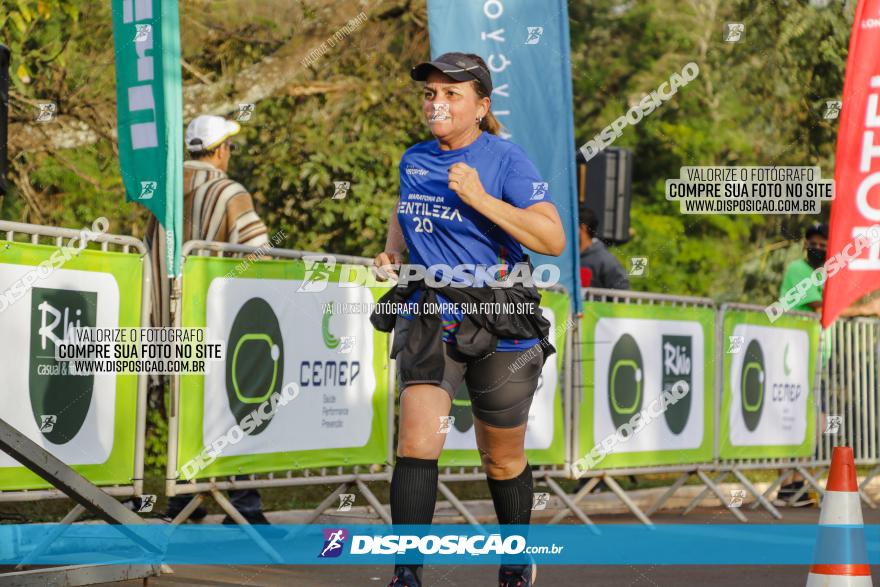 Brasil Corridas - Run 15km - Londrina