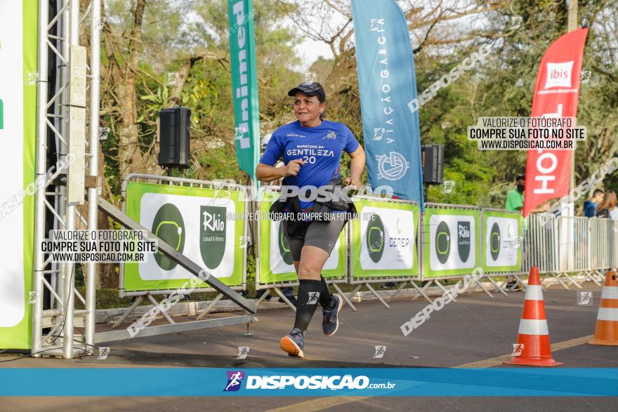 Brasil Corridas - Run 15km - Londrina