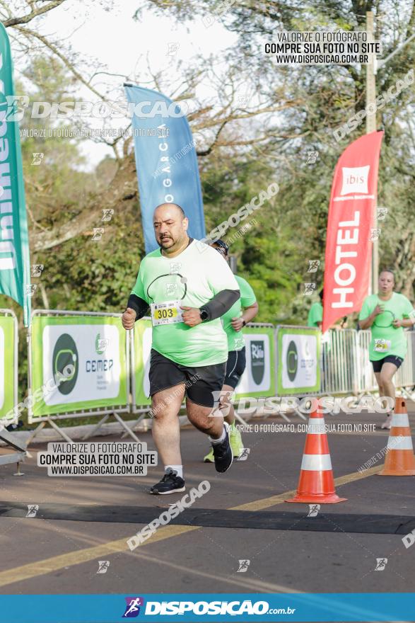 Brasil Corridas - Run 15km - Londrina