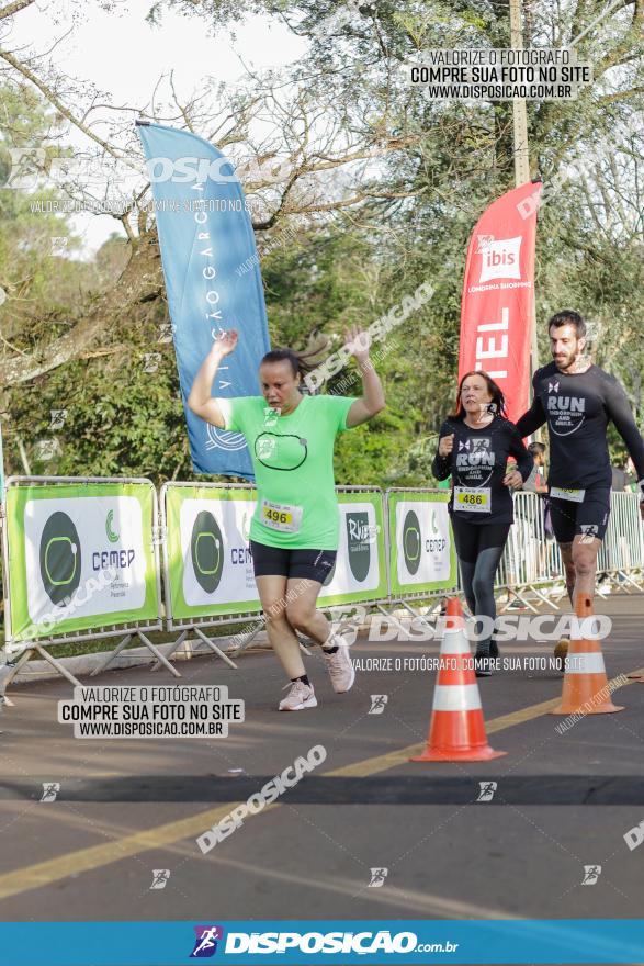 Brasil Corridas - Run 15km - Londrina