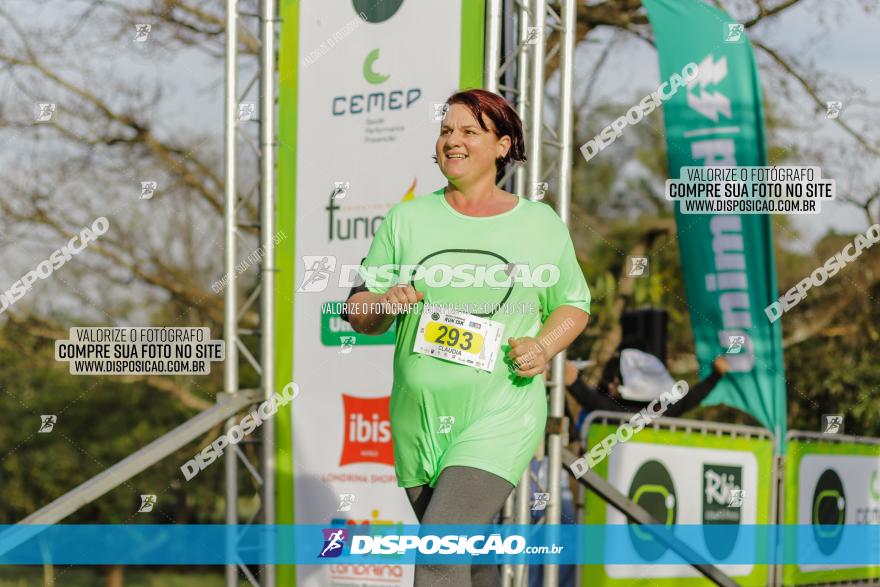 Brasil Corridas - Run 15km - Londrina