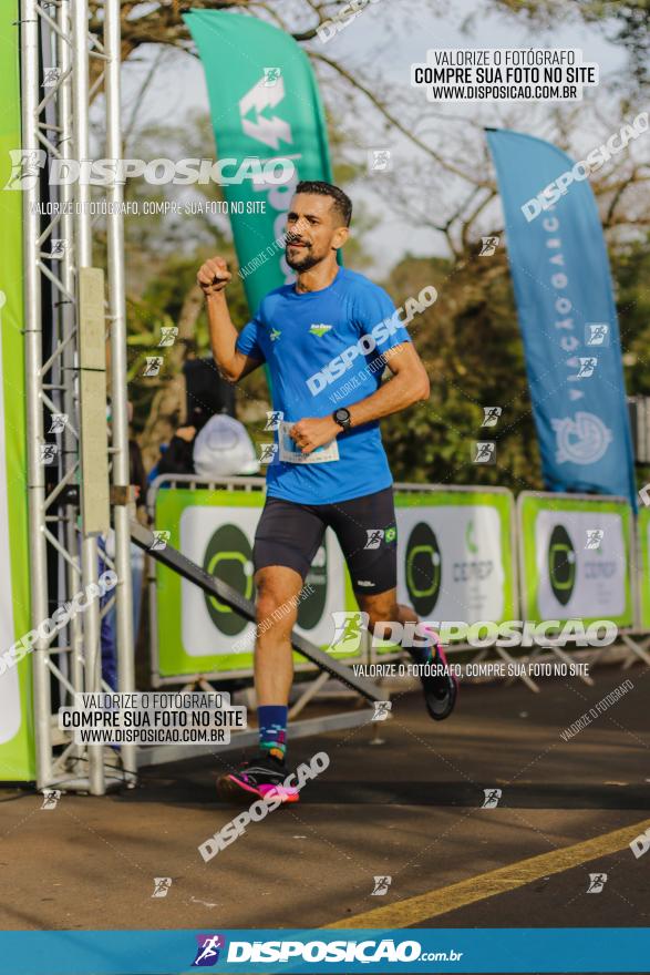 Brasil Corridas - Run 15km - Londrina