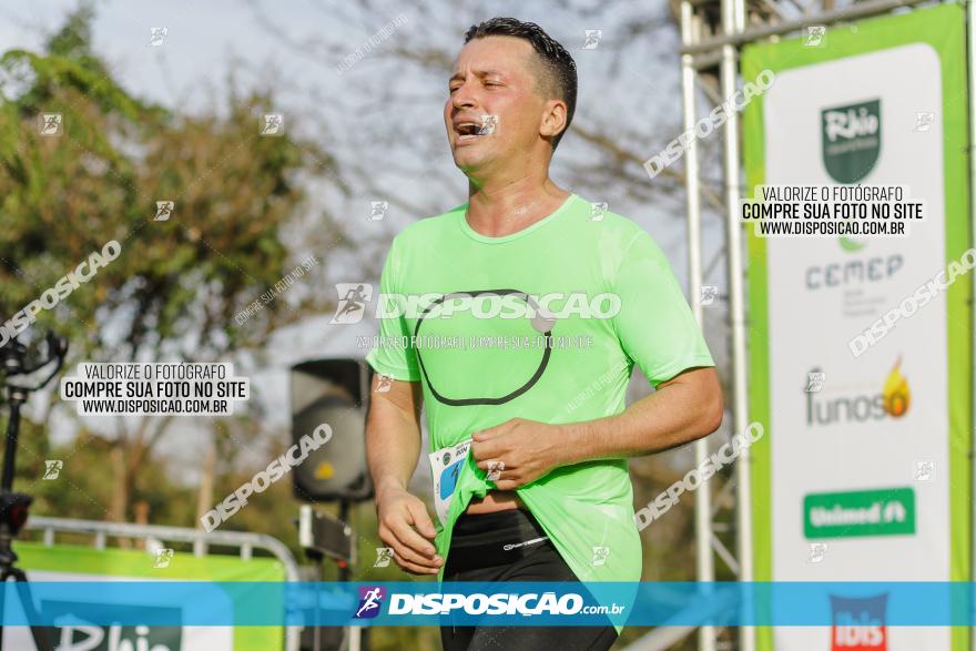 Brasil Corridas - Run 15km - Londrina