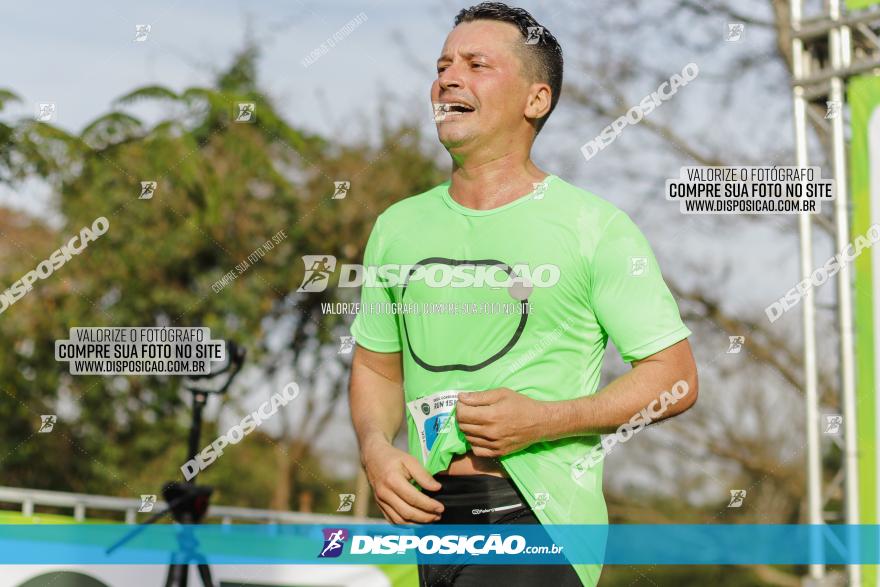 Brasil Corridas - Run 15km - Londrina