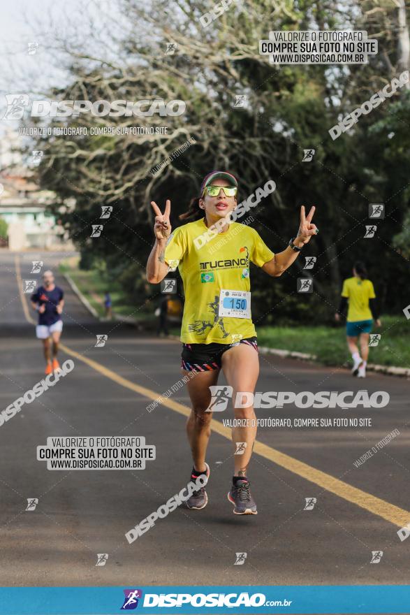 Brasil Corridas - Run 15km - Londrina