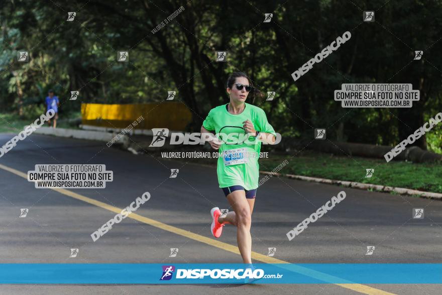 Brasil Corridas - Run 15km - Londrina