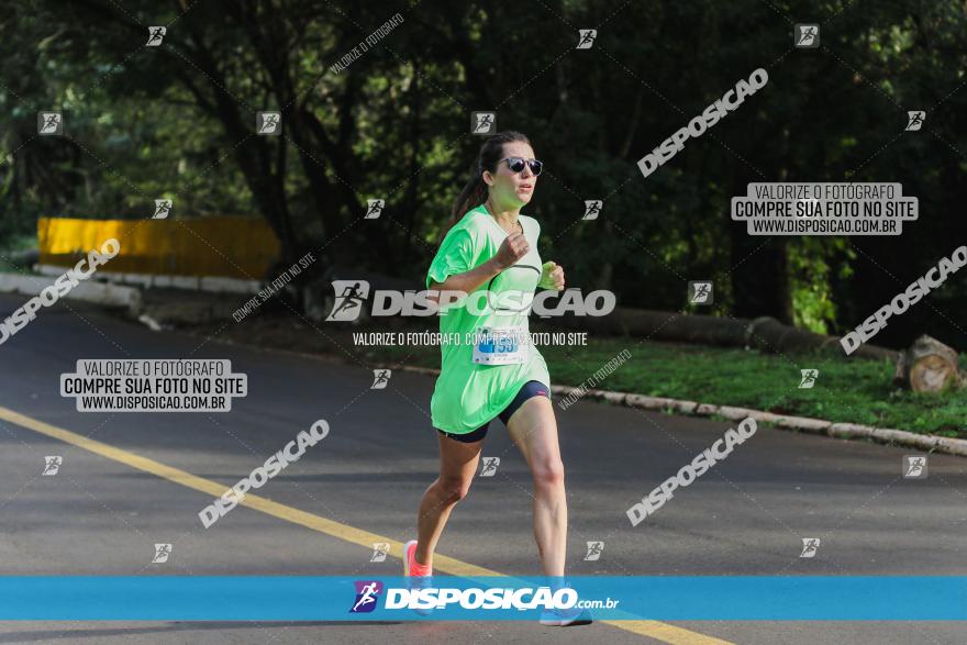 Brasil Corridas - Run 15km - Londrina