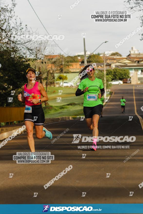 Brasil Corridas - Run 15km - Londrina