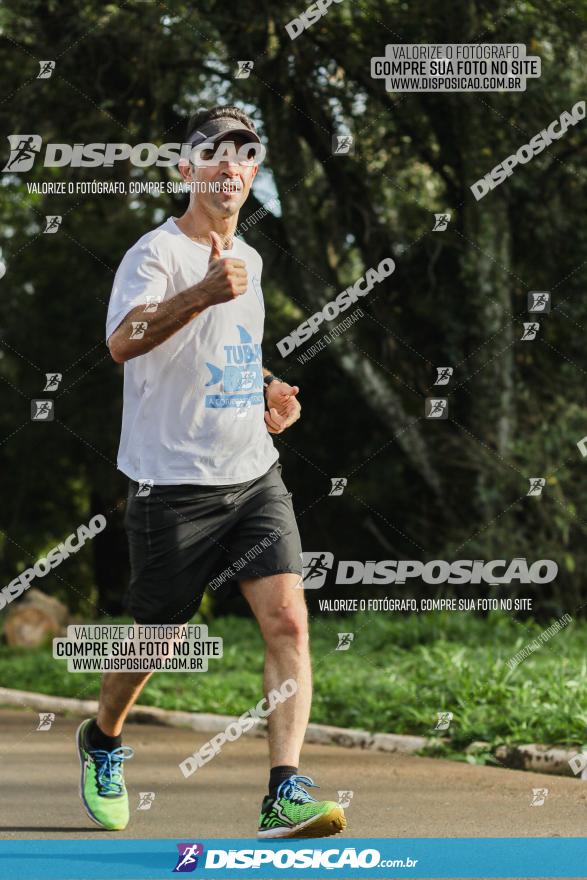 Brasil Corridas - Run 15km - Londrina