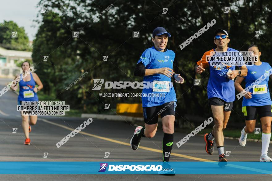 Brasil Corridas - Run 15km - Londrina