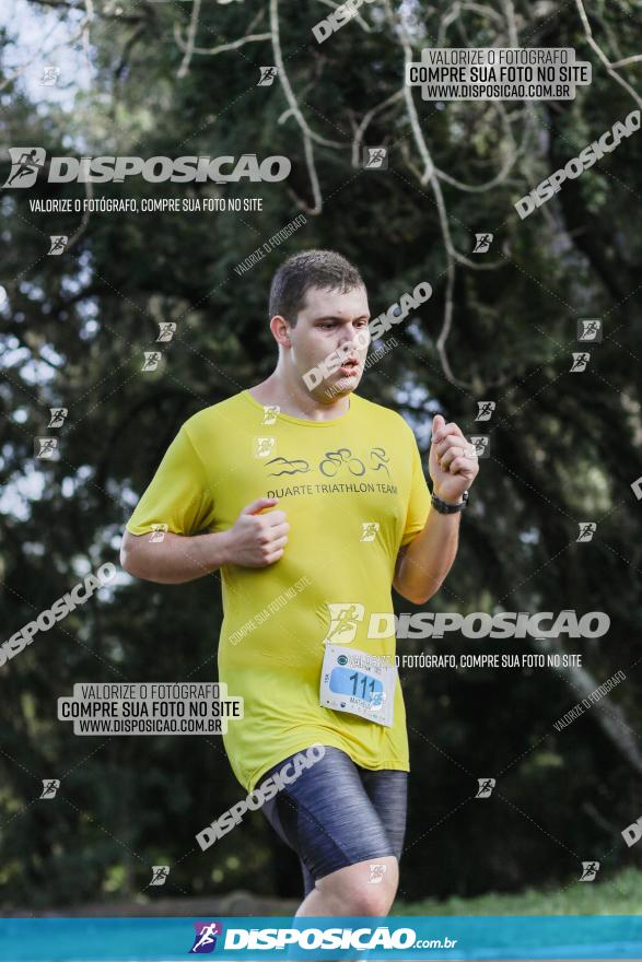 Brasil Corridas - Run 15km - Londrina