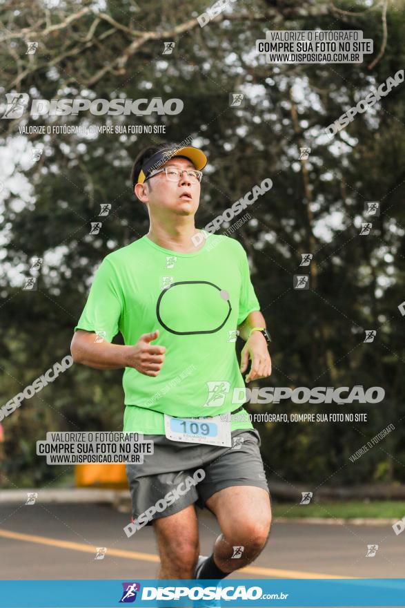 Brasil Corridas - Run 15km - Londrina