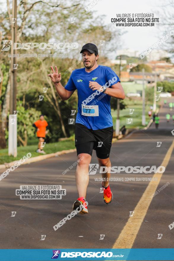 Brasil Corridas - Run 15km - Londrina