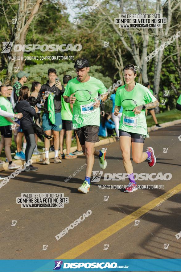 Brasil Corridas - Run 15km - Londrina