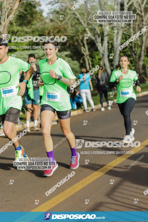 Brasil Corridas - Run 15km - Londrina