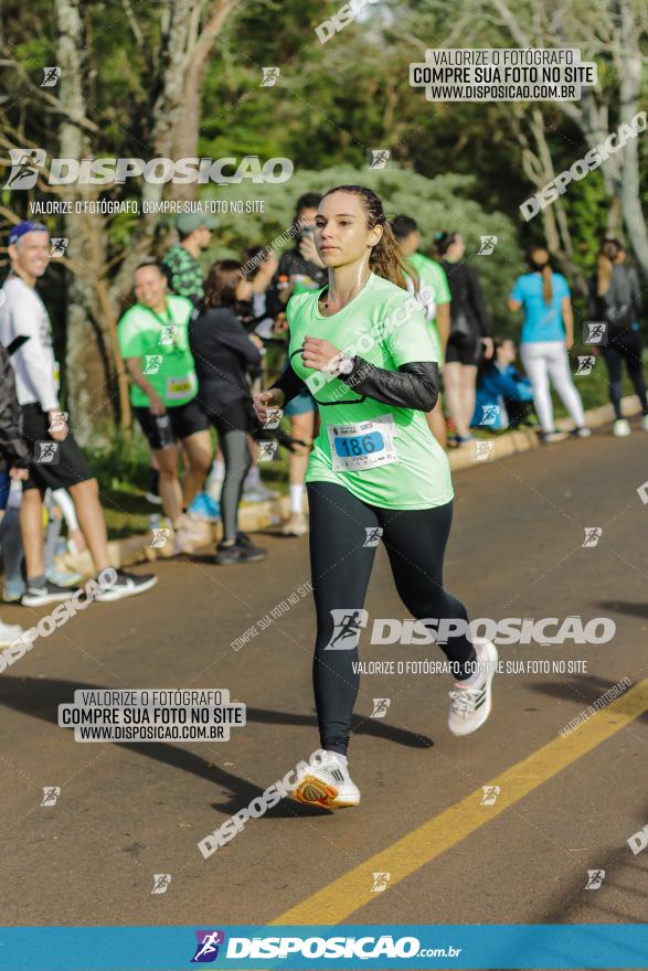 Brasil Corridas - Run 15km - Londrina