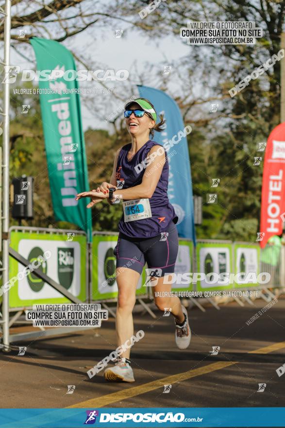 Brasil Corridas - Run 15km - Londrina