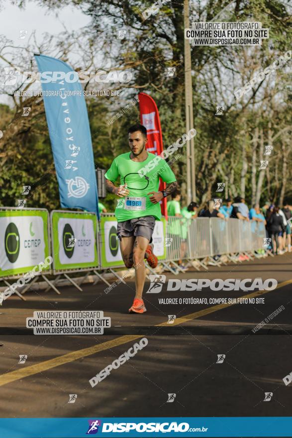 Brasil Corridas - Run 15km - Londrina