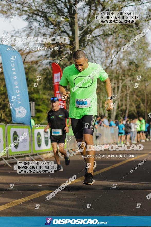 Brasil Corridas - Run 15km - Londrina