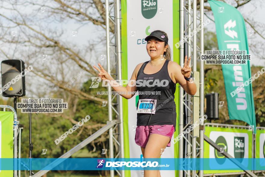 Brasil Corridas - Run 15km - Londrina