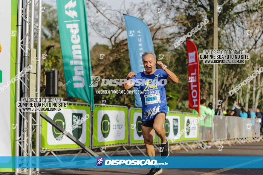 Brasil Corridas - Run 15km - Londrina