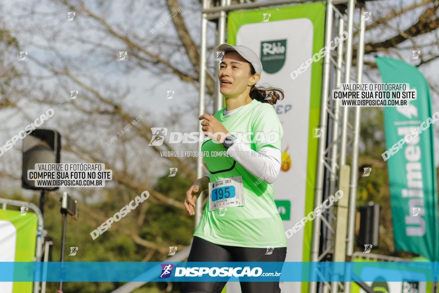 Brasil Corridas - Run 15km - Londrina