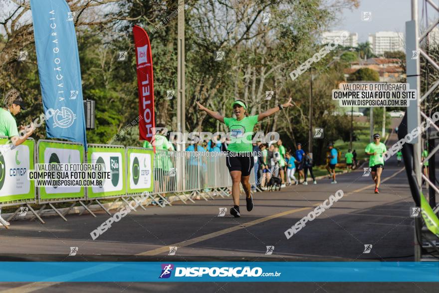 Brasil Corridas - Run 15km - Londrina