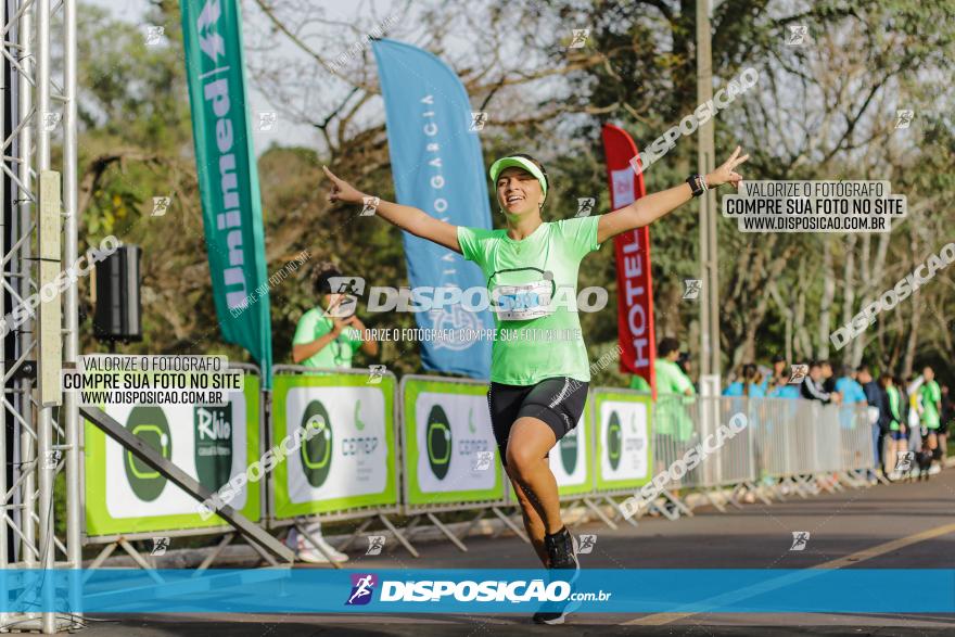 Brasil Corridas - Run 15km - Londrina