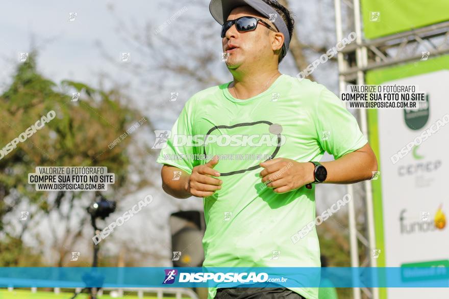 Brasil Corridas - Run 15km - Londrina