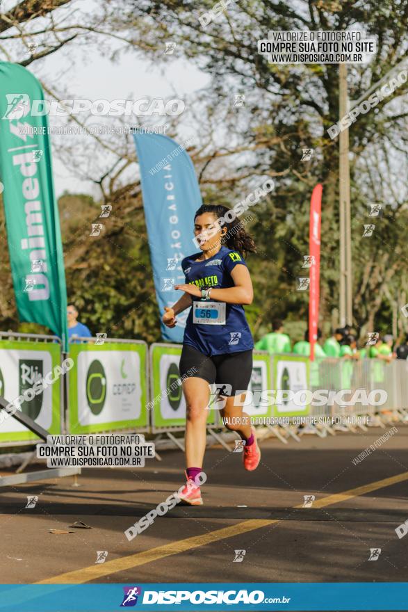 Brasil Corridas - Run 15km - Londrina