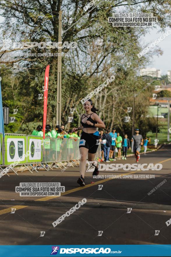 Brasil Corridas - Run 15km - Londrina