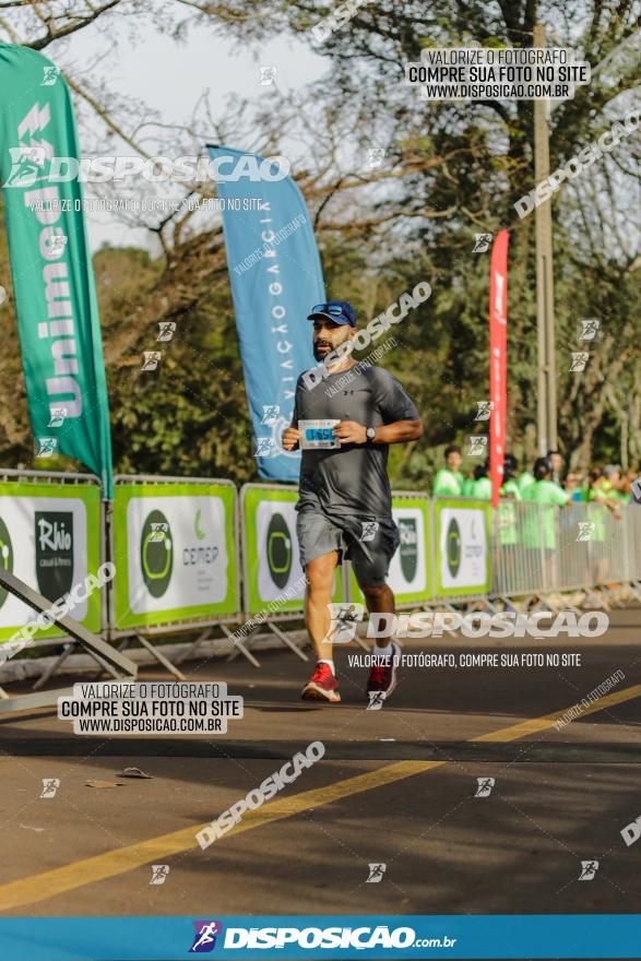 Brasil Corridas - Run 15km - Londrina