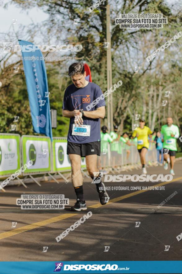 Brasil Corridas - Run 15km - Londrina