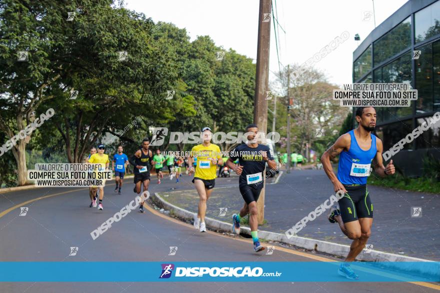 Brasil Corridas - Run 15km - Londrina