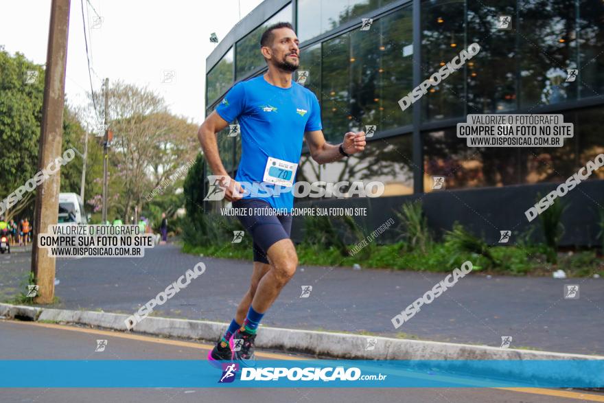 Brasil Corridas - Run 15km - Londrina