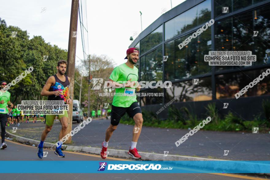 Brasil Corridas - Run 15km - Londrina