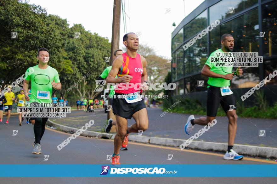 Brasil Corridas - Run 15km - Londrina