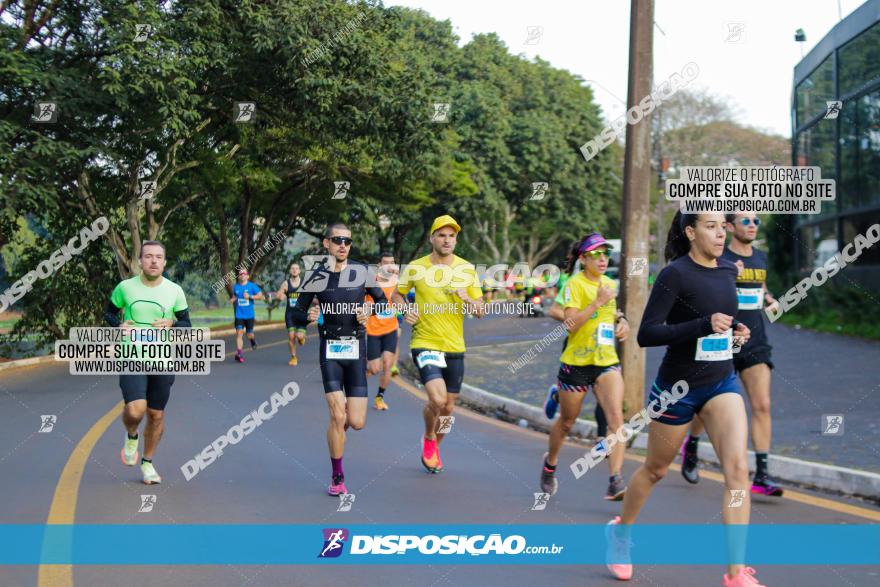 Brasil Corridas - Run 15km - Londrina