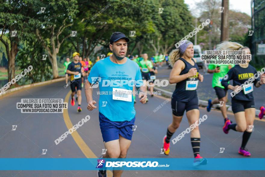 Brasil Corridas - Run 15km - Londrina