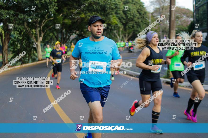 Brasil Corridas - Run 15km - Londrina