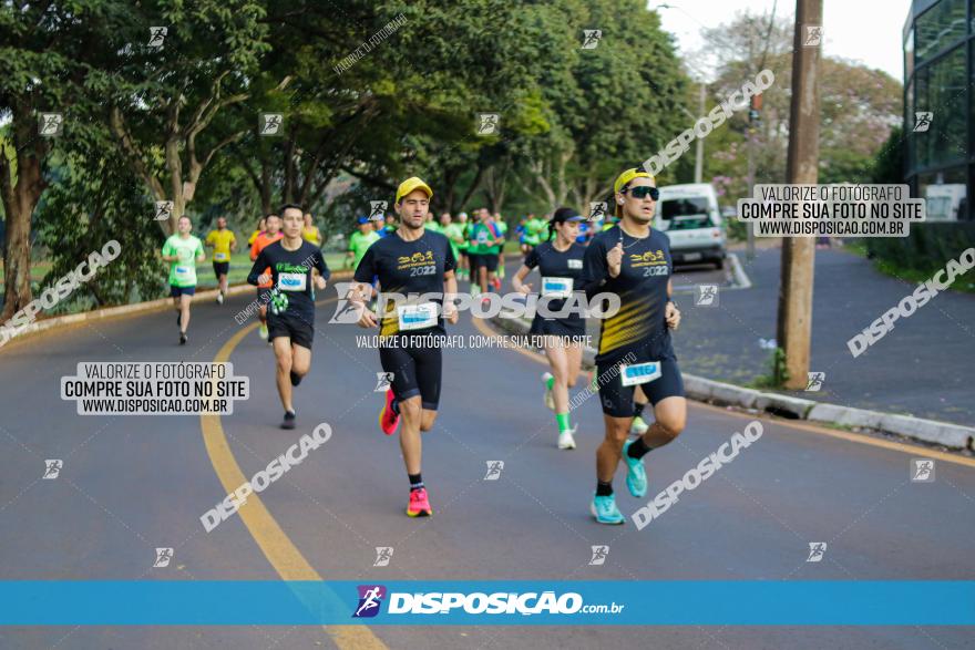 Brasil Corridas - Run 15km - Londrina