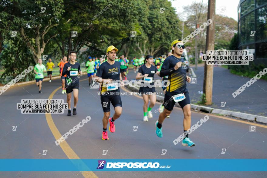 Brasil Corridas - Run 15km - Londrina