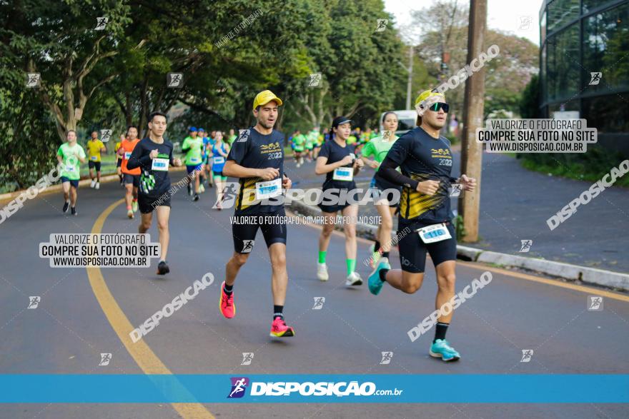 Brasil Corridas - Run 15km - Londrina