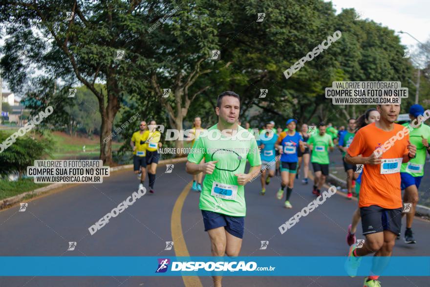 Brasil Corridas - Run 15km - Londrina