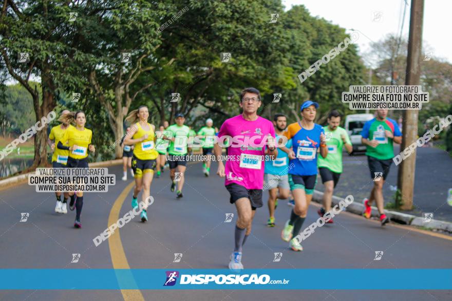 Brasil Corridas - Run 15km - Londrina